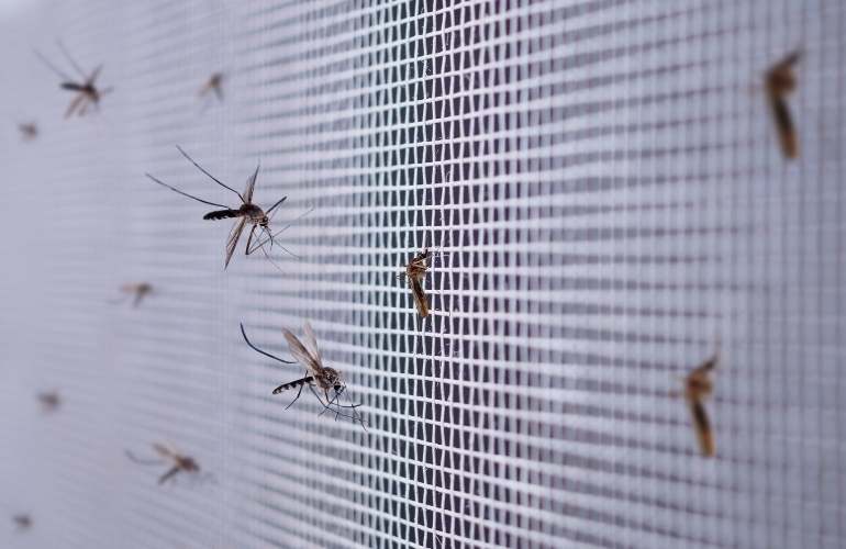 Greenhouse insect netting made by Elife