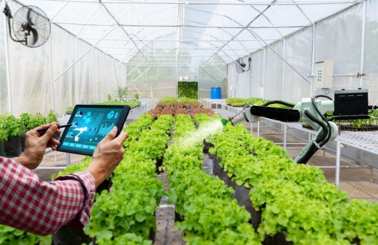 Greenhouse temperature monitoring
