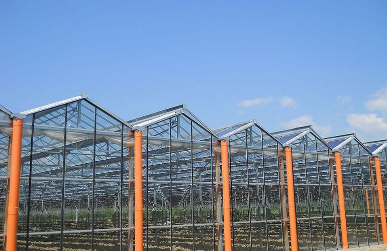 Greenhouses with multiple spans