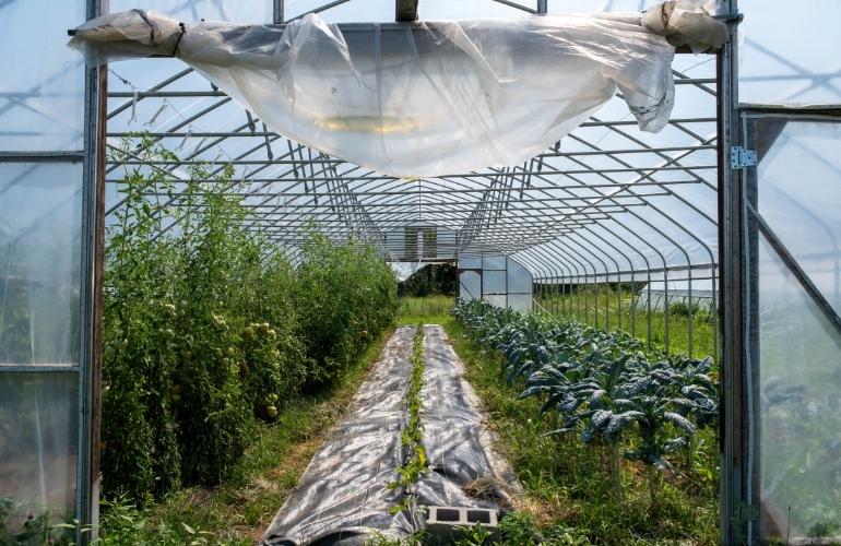 Industrial greenhouse