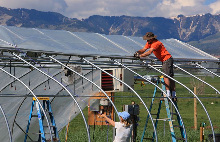 Installing a vegetable greenhouse