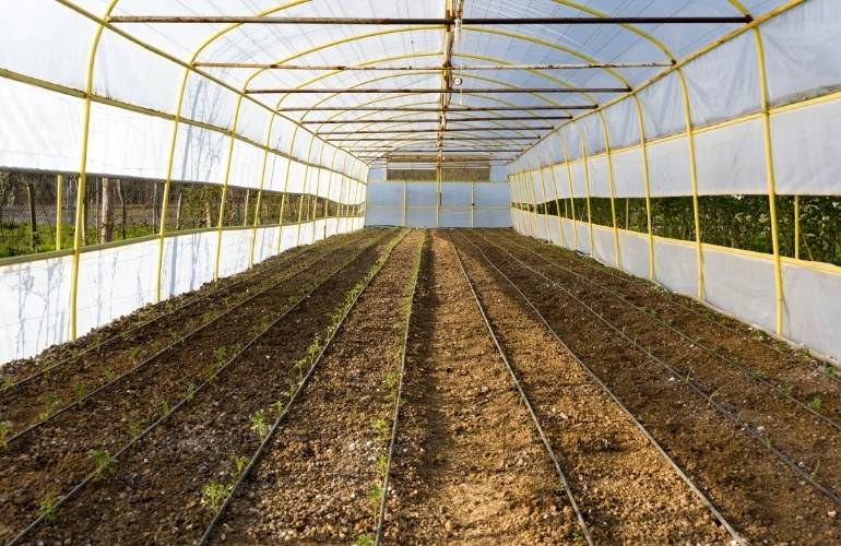 Low price large greenhouse