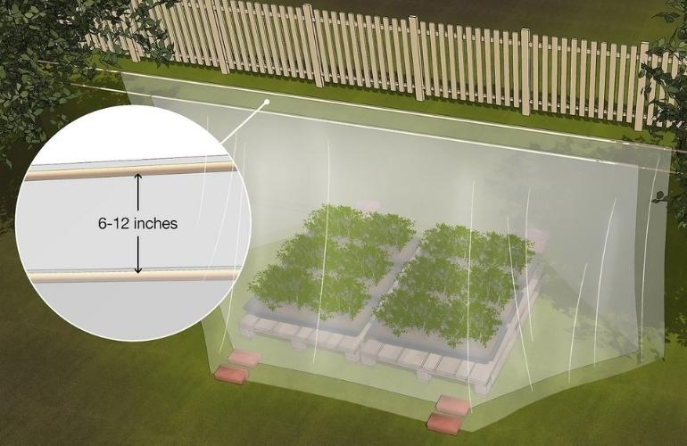 Making a Greenhouse from Plastic Film
