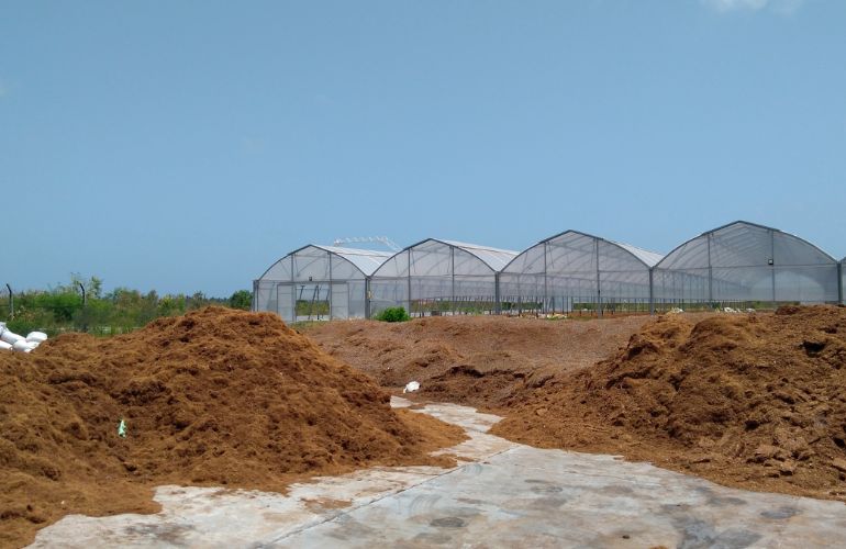 Multispan Greenhouse construction
