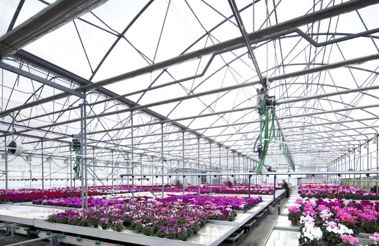 Multispan greenhouse with advanced technology