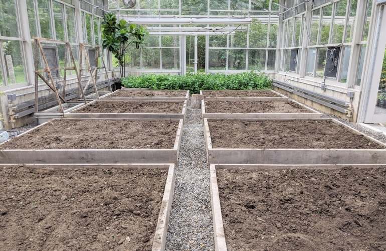 Planting in a greenhouse for vegetables