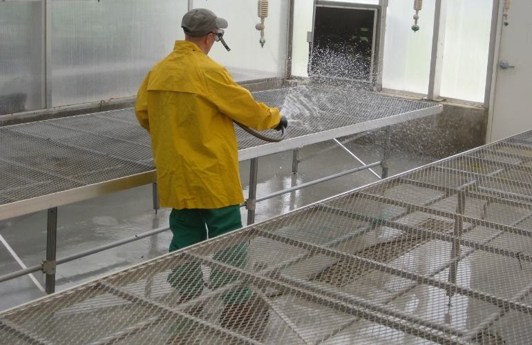 Sanitizing a vegetable greenhouse