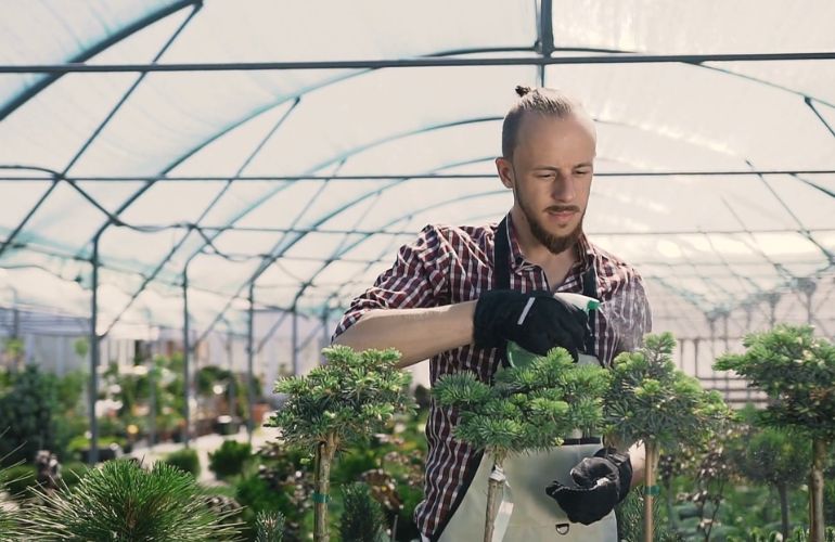 Taking Care of a Plastic Film Greenhouse
