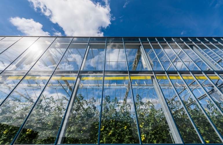 The building of a tomato greenhouse