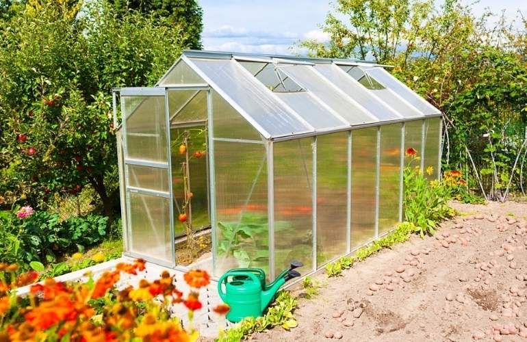Tomato greenhouse acrylic sheet