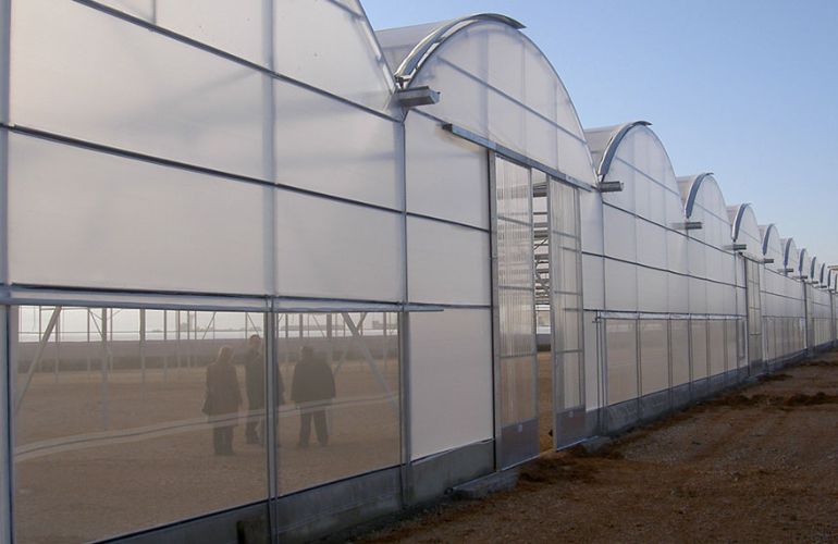 Top Class Multispan Greenhouse