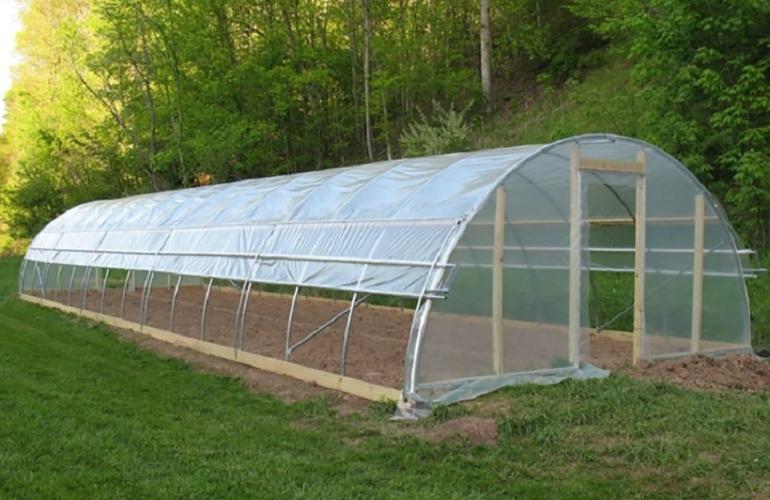 Top Class Plastic Film Greenhouse
