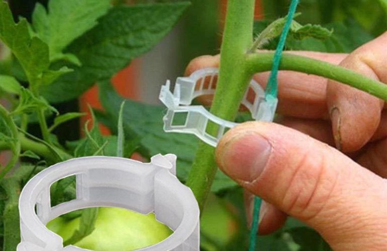Vegetable greenhouse clips