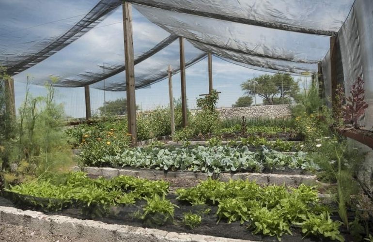 Vegetable greenhouse cloth shade