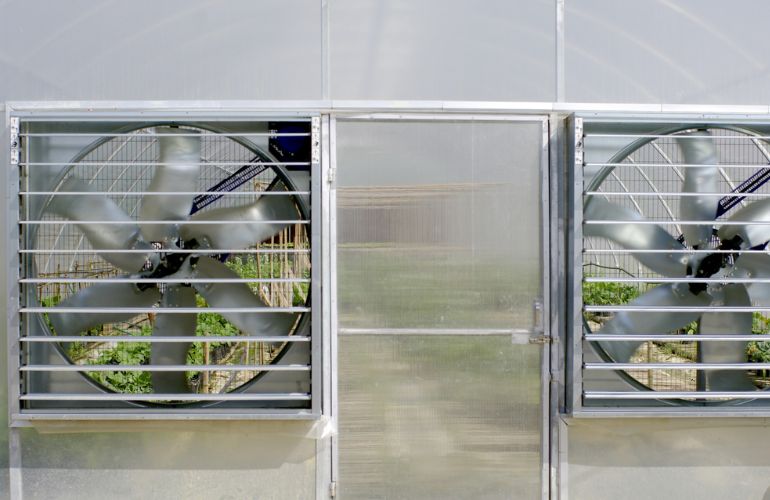 Vegetable greenhouse fans of extraction