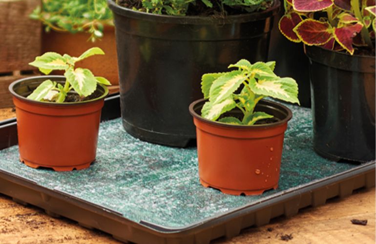 Vegetable greenhouse matting capillary