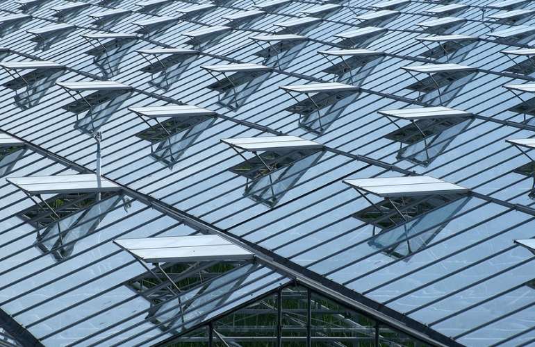 Vegetable greenhouse ventilation