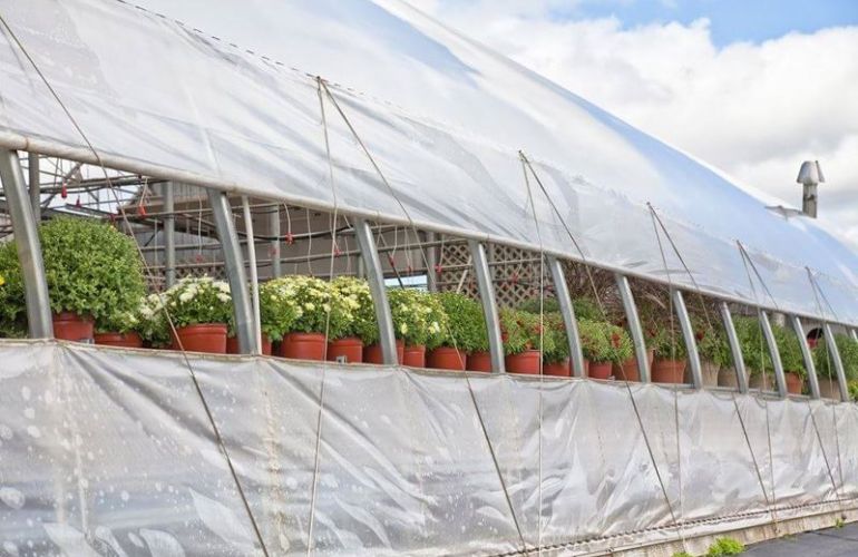 Vegetable greenhouse ventilation