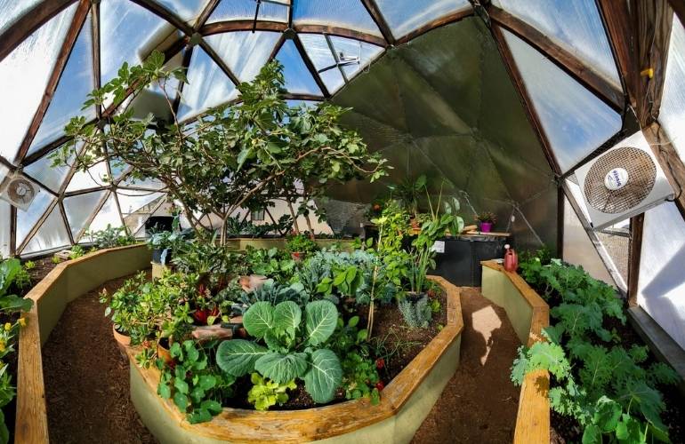 Vegetable greenhouse ventilation fan