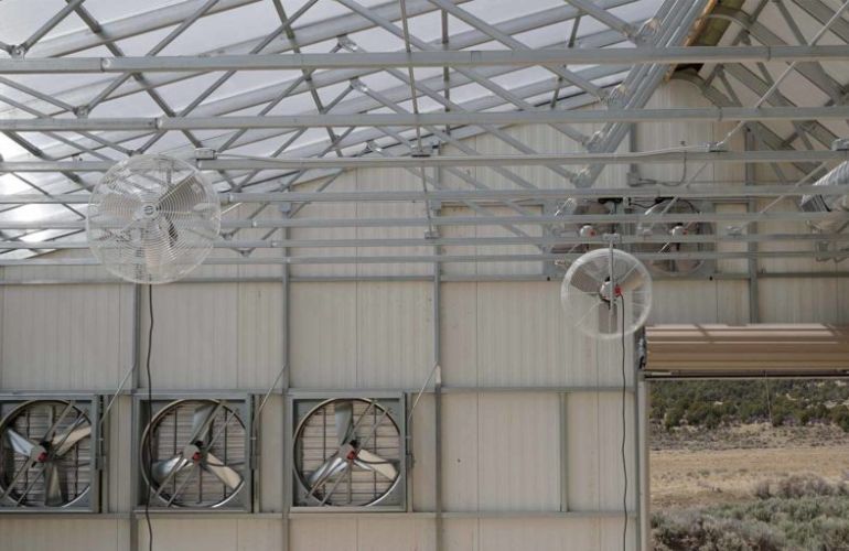 Vegetable greenhouse ventilation