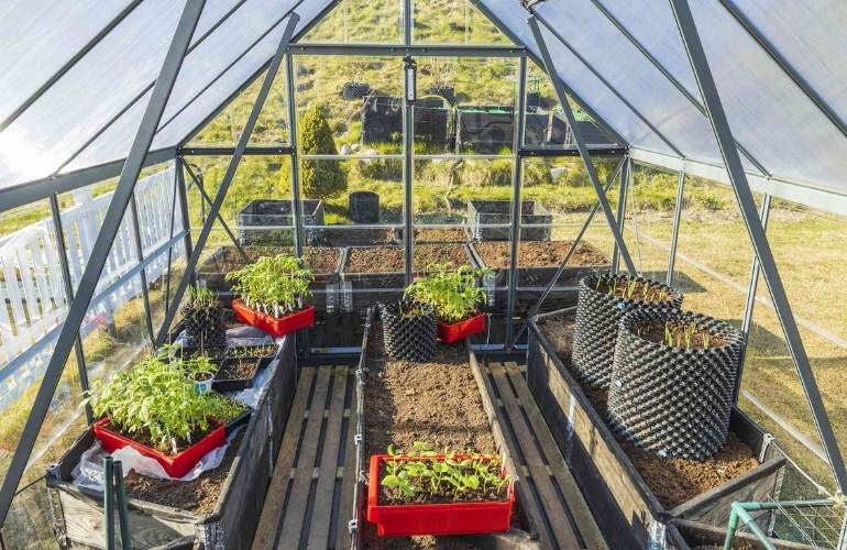 Vegetable greenhouse wood floor