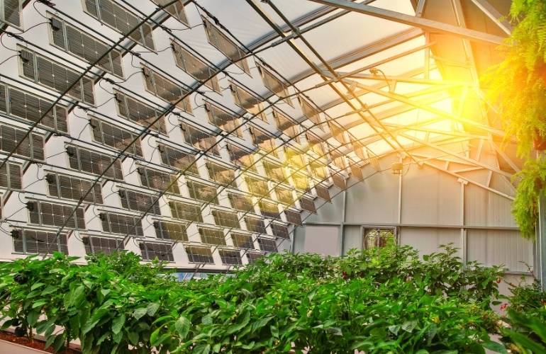 Vegetable greenhouse