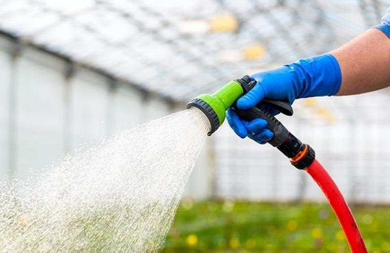 Watering tomato plants