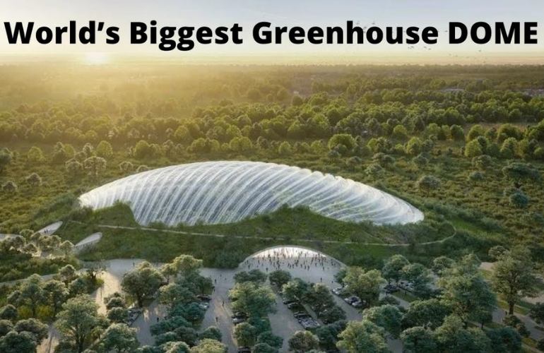 World's biggest greenhouse dome