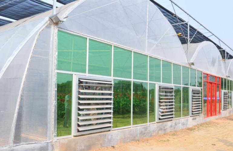 best material for a multi-span greenhouse cover