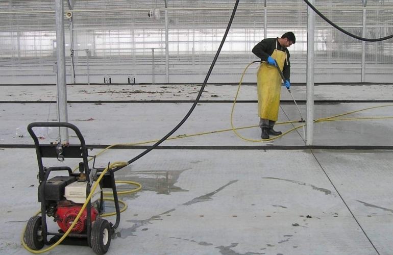 cleaning of a vegetable greenhouse