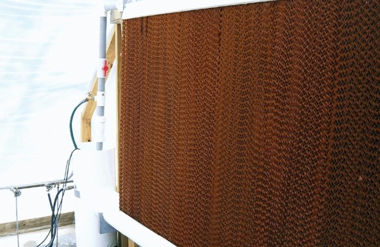 cooling pad system OF greenhouse