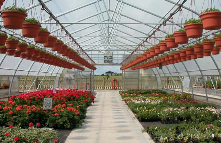 freestanding big greenhouse