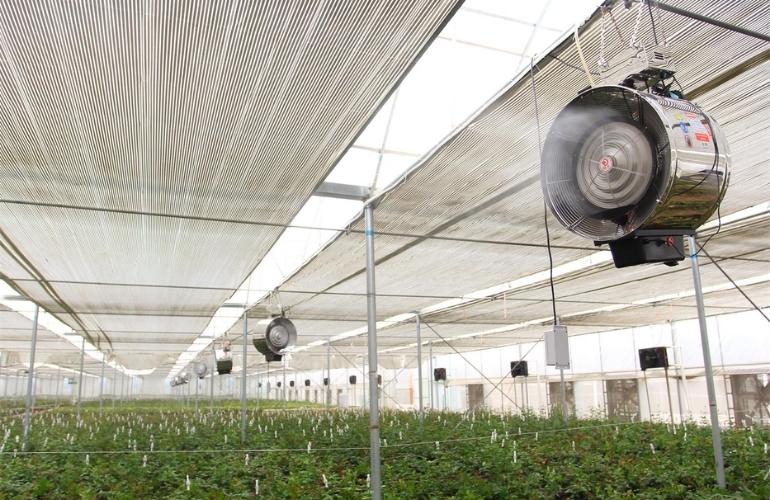 greenhouse fan