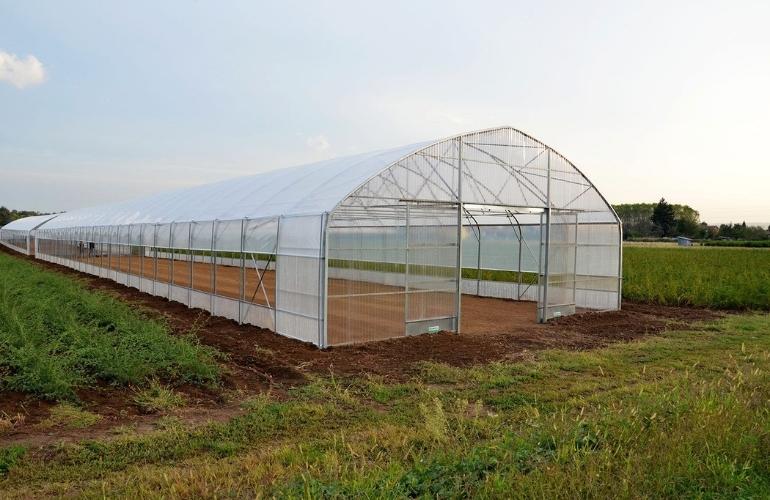 polycarbonate greenhouse