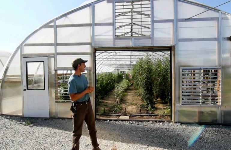 tomato greenhouse ventilation
